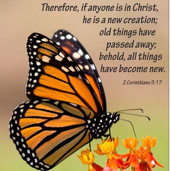 🦋🌻LIKE this to be NOTIFIED when I go LIVE🌻🦋 - Picture 5 of 7